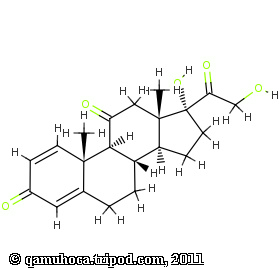 side effects prednisone